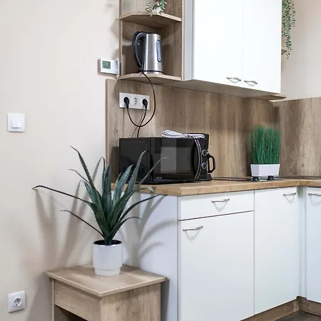 Apartmán Lucsony *